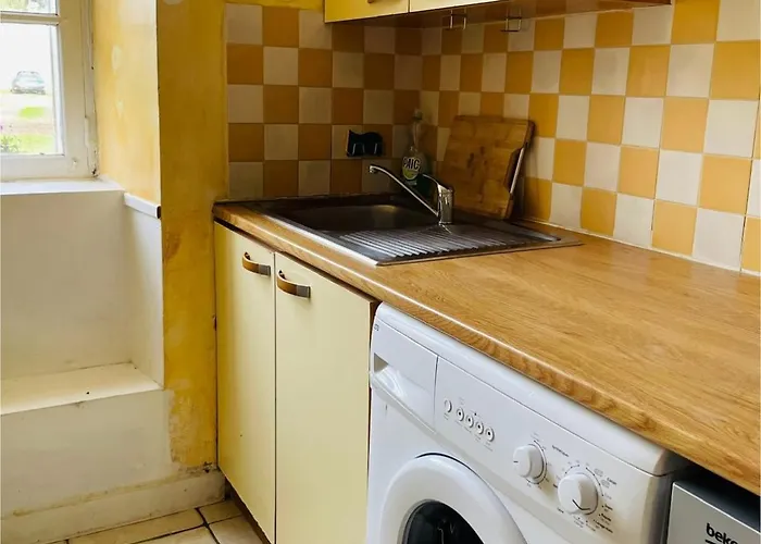 Sarthoise * Brains-sur-Gee